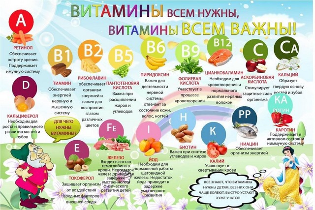 foto 2025 07 01 14 39 2